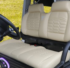 Tara Lithium Golf Ready Golf Cart Luxury Seats